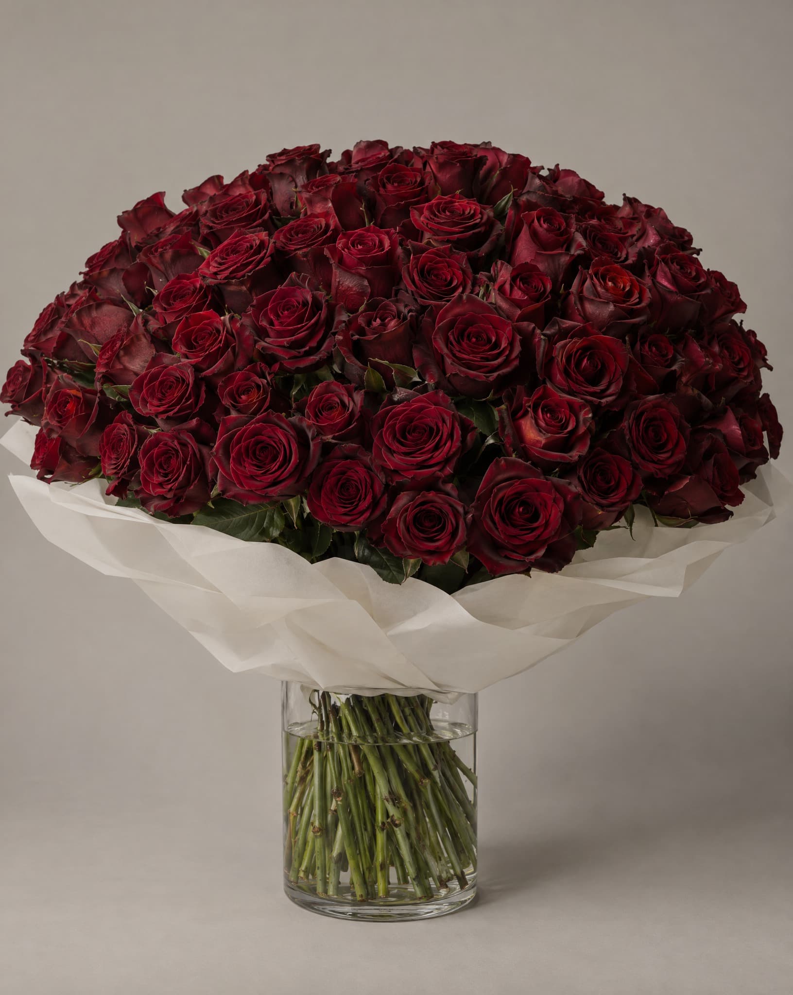 Deep red roses wrapped in white tissue in a clear glass vase
