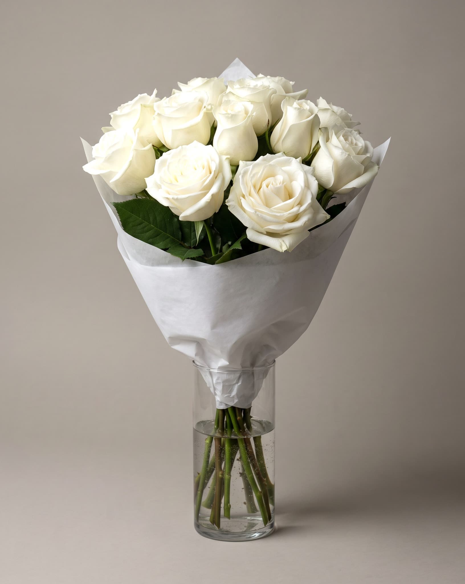 The Bal Harbour, rosas blancas, tamaño Estándar
