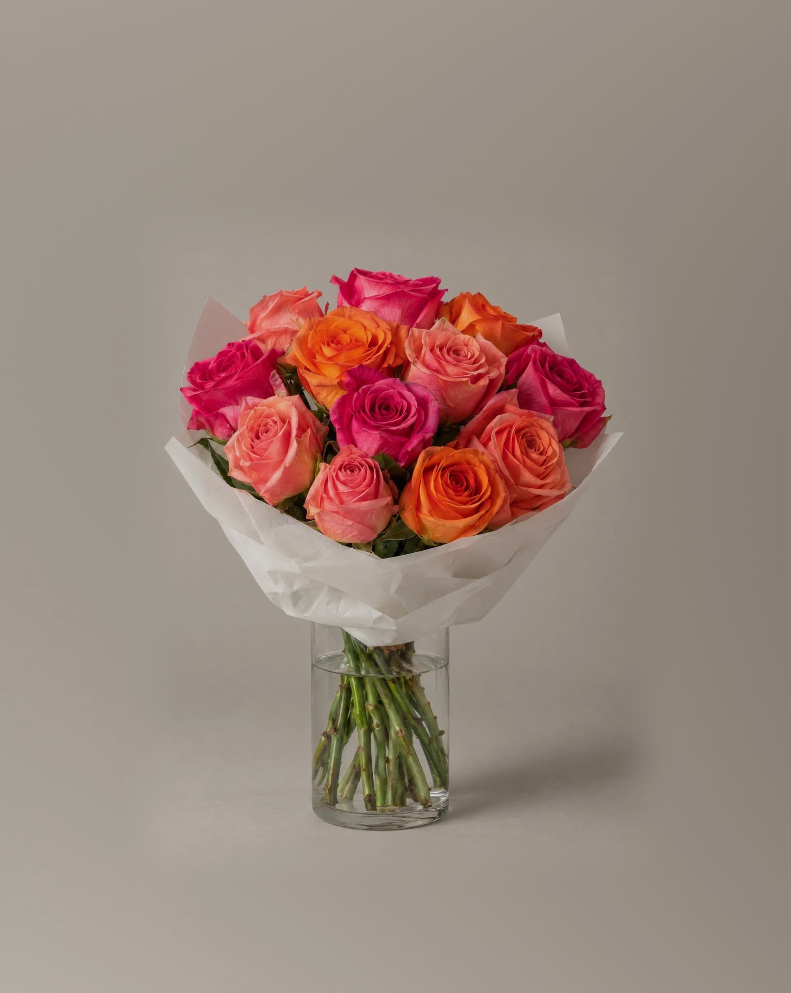 The Calle Ocho, rosas fucsia y coral, tamaño Estándar