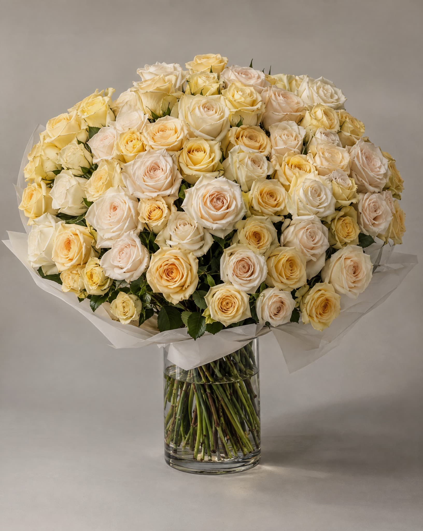 One hundred cream and butter yellow roses in a wide domed bouquet wrapped in white tissue in a clear glass vase