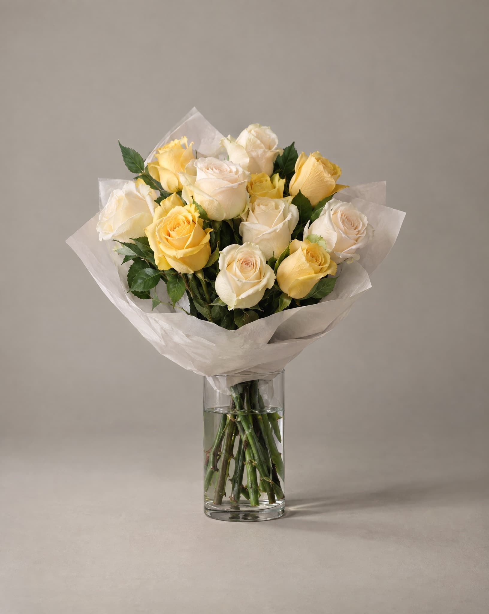 The Commencement, rosas crema y amarillas, tamaño Estándar
