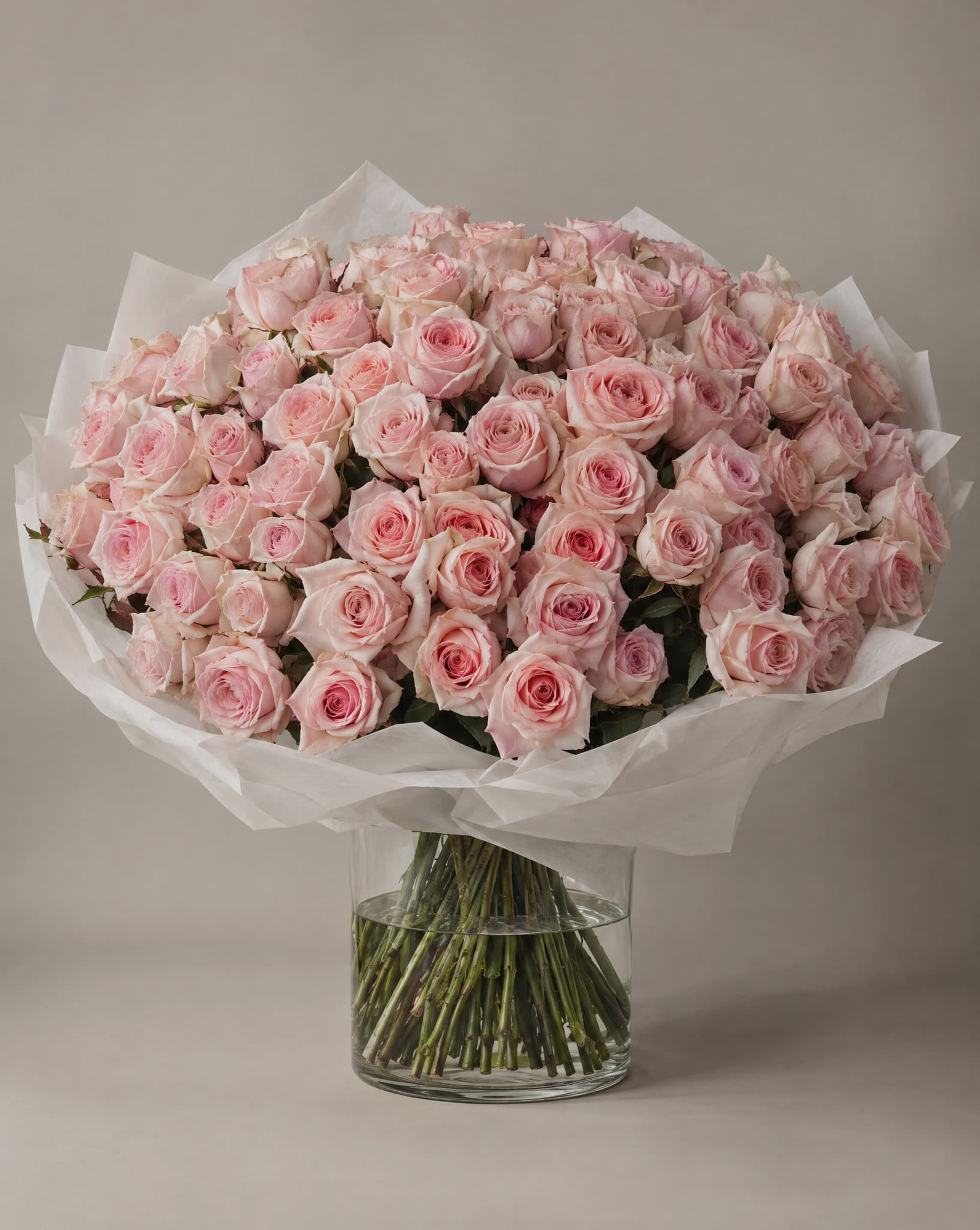 Soft blush roses wrapped in white tissue in a clear glass vase