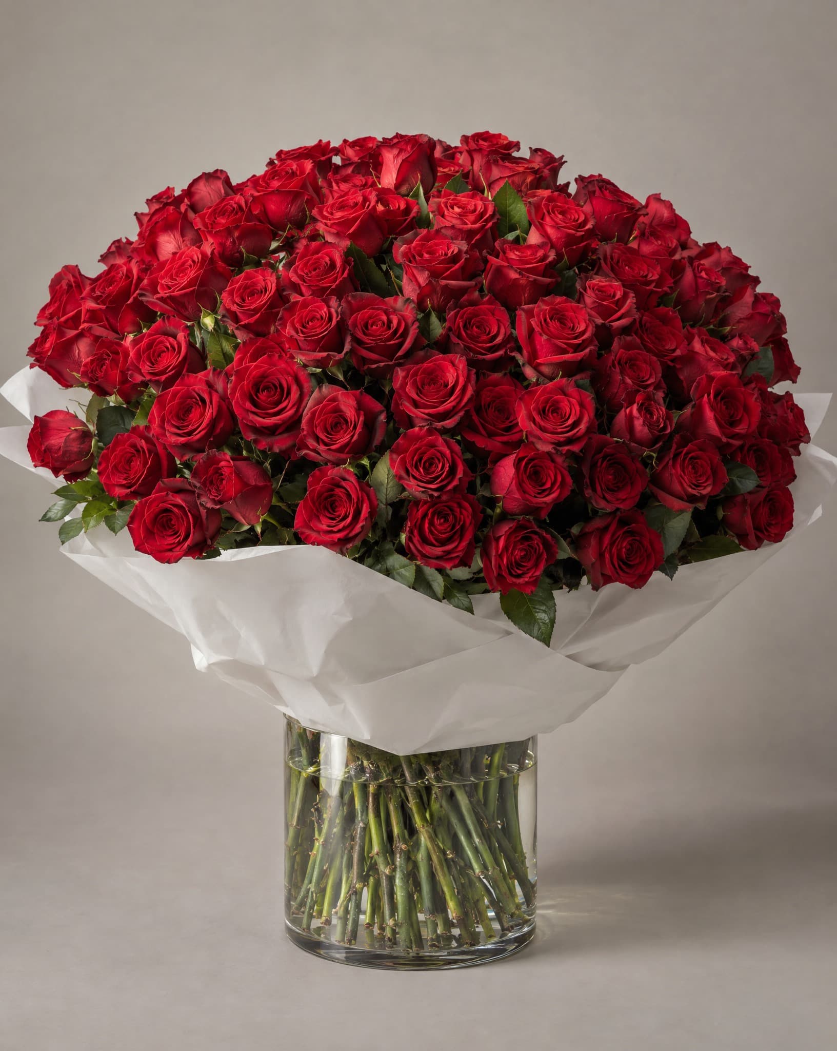 The Vizcaya, rosas rojas, tamaño Lujo