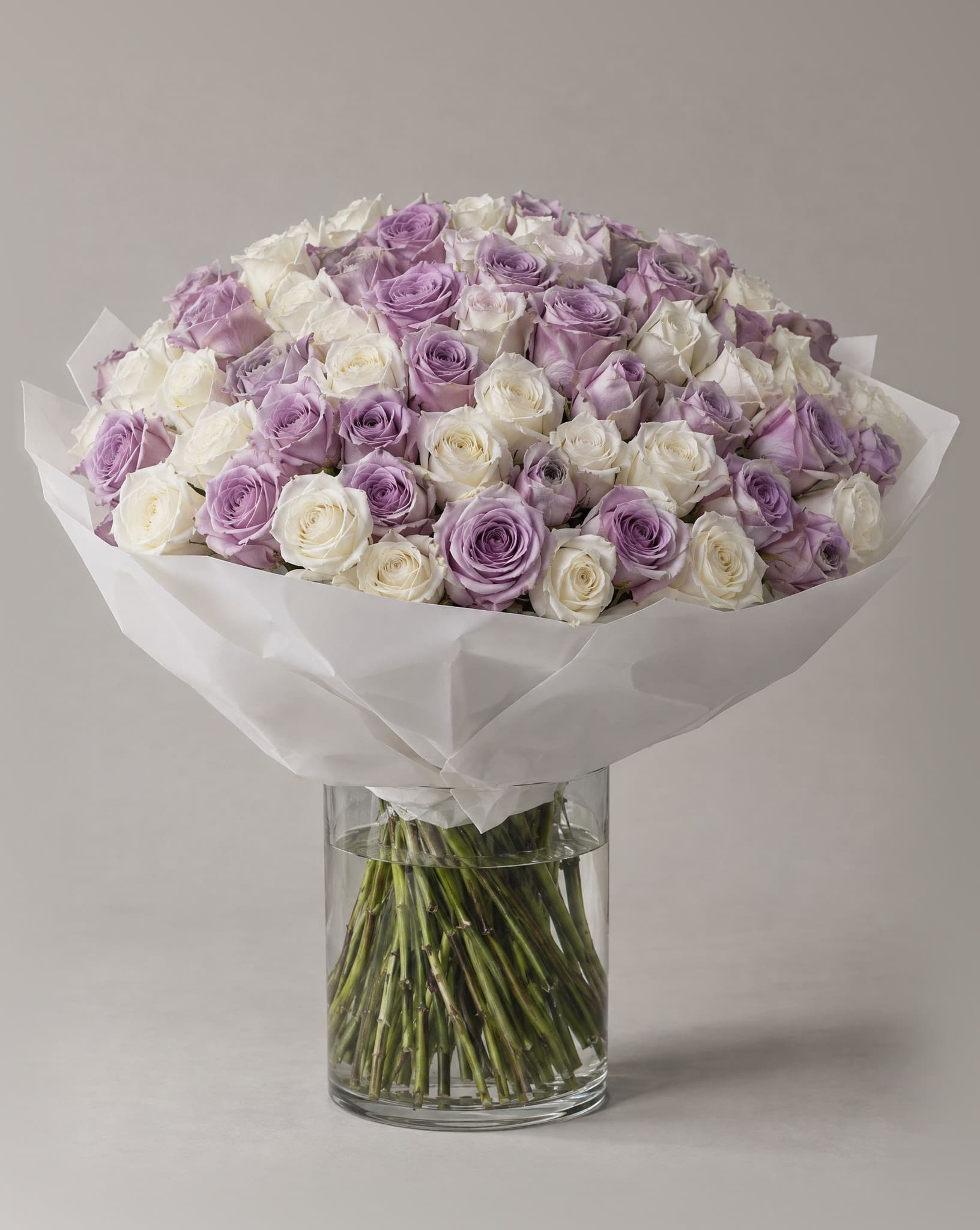 One hundred lavender and ivory roses wrapped in white paper in a clear glass vase