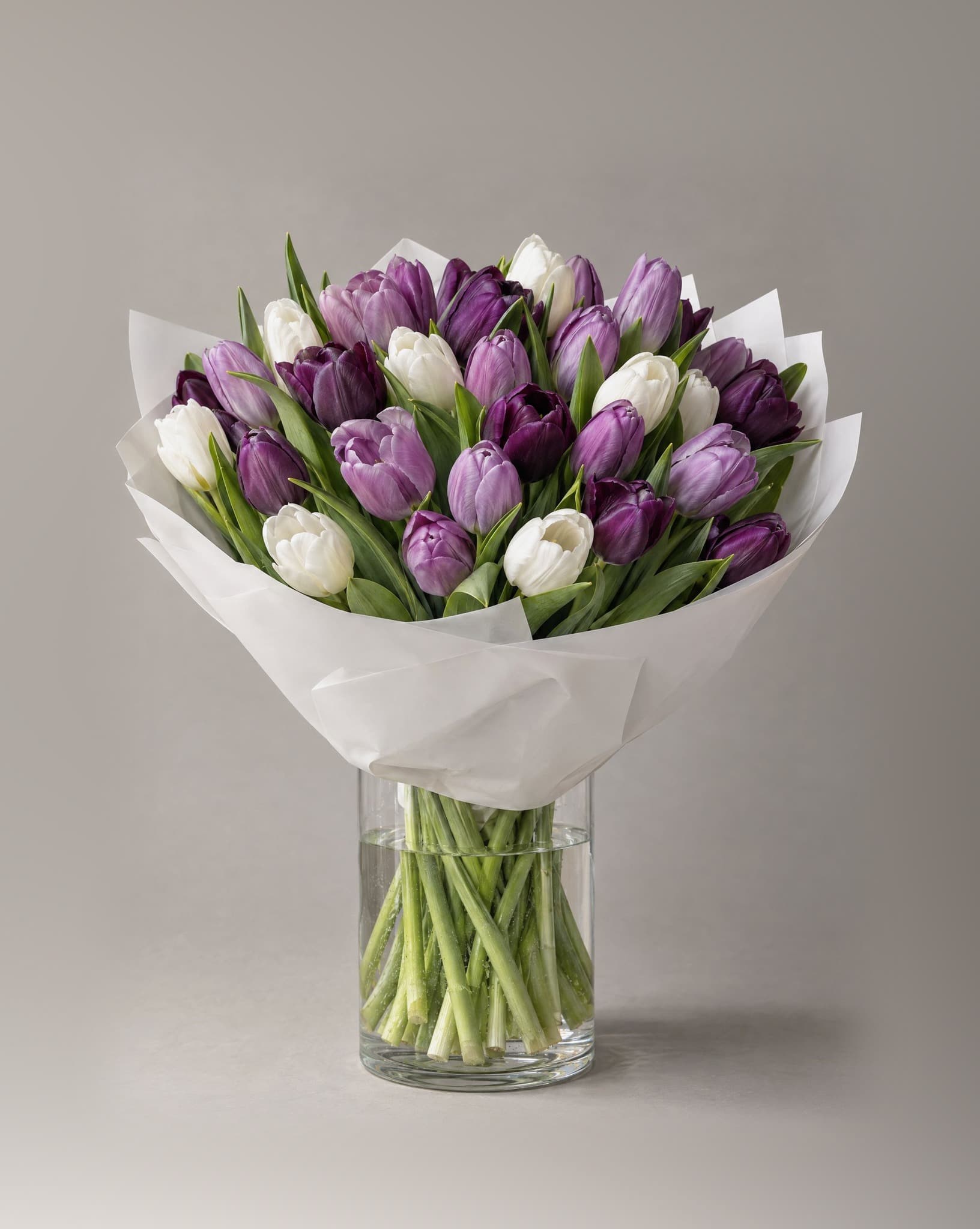 Standard bouquet of purple, lilac and white tulips wrapped in white paper in a clear glass vase